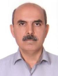 دکتر حسین رفیعی
