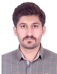 دکتر حامد حسنپور