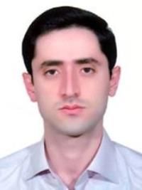 دکتر حسام الدین شهبازی