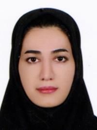 دکتر نسیبه حامدبورنگ متخصص کودکان, دکترای پزشکی
