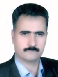 دکتر محمدرضا بیرجندی
