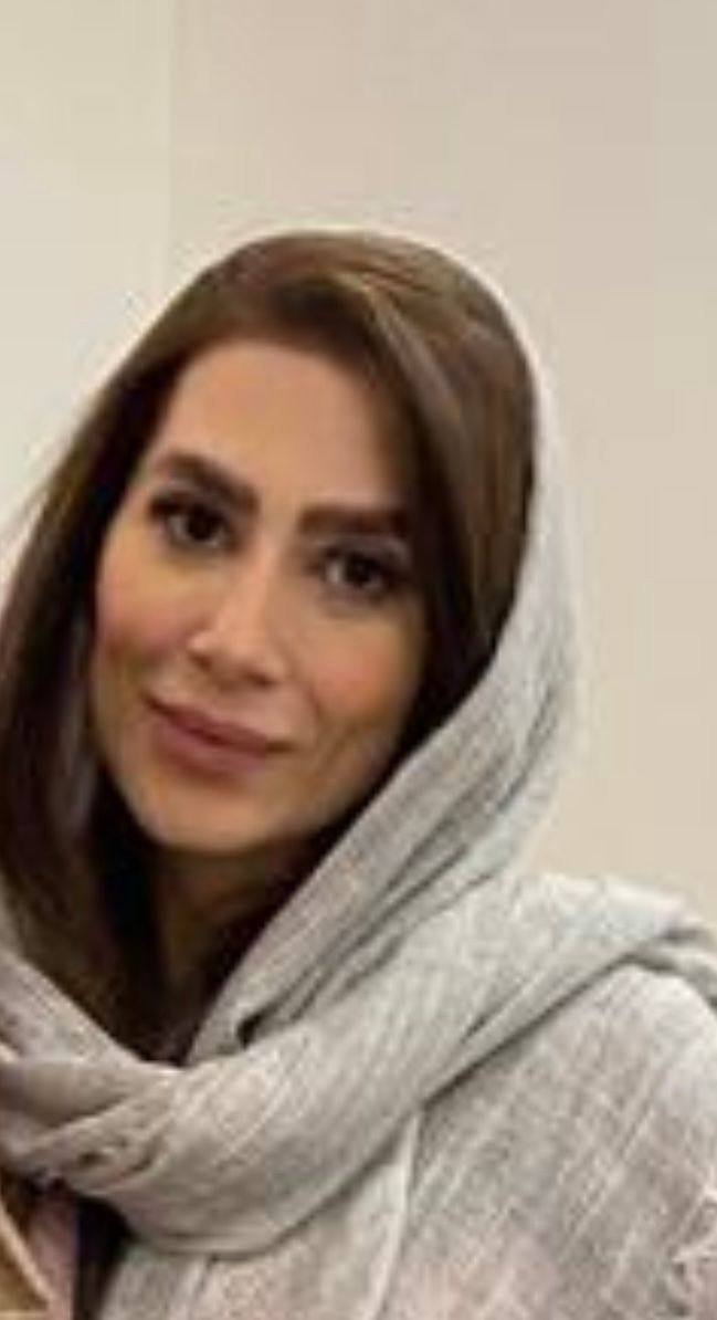 دکتر الناز ذبیحی زنان و زایمان, دکترای حرفه ای پزشکی