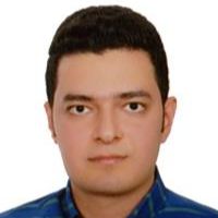 دکتر محمد حسین میرجانی