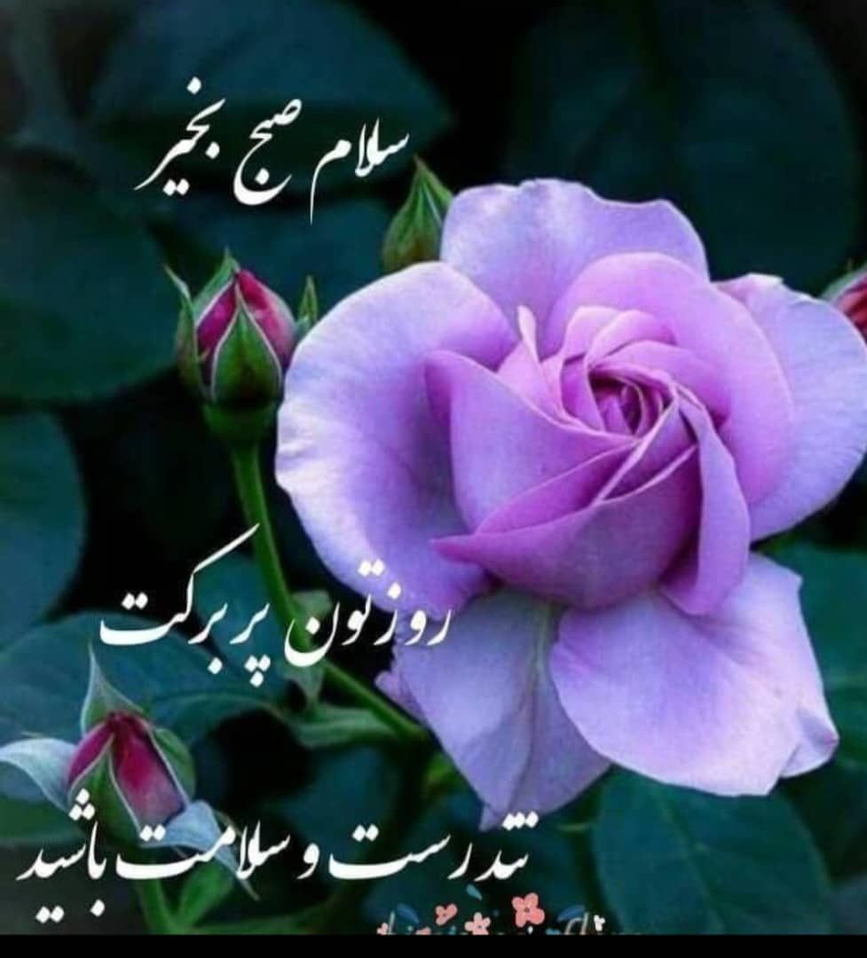 دکتر غلامرضا صادقی نژاد