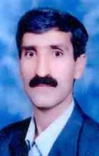 دکتر فضل اله پورنجاری متخصص جراحی عمومی, دکترای حرفه‌ای پزشکی