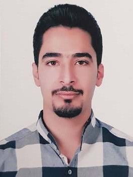 دکتر مجتبی ایلون کشکولی