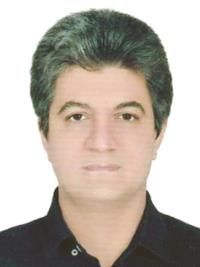 دکتر مهرجو امرائی متخصص آسیب شناسی, دکترای پزشکی