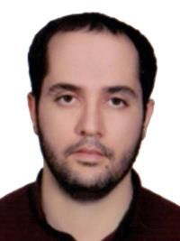 دکتر رحیم همتی راد
