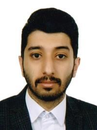 دکتر هادی هرسیج ثانی