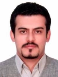 محمدسینا نوروزی اصل فلوشیپ جراحی درون بین (لاپاراسکوپی), متخصص جراحی عمومی, دکترای حرفه ای پزشکی
