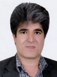 دکتر حسن محبی کردسفلی دکترای دندانپزشکی