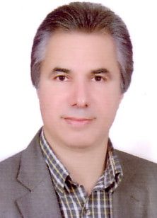 دکتر محمدرضا فتحی