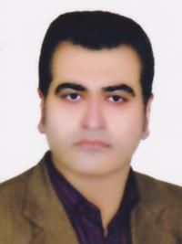 دکتر سیدحمزه موسوی