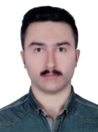دکتر رضا وزیری