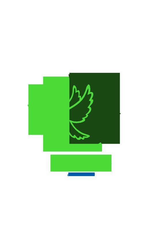 دکتر وحید خیراندیش