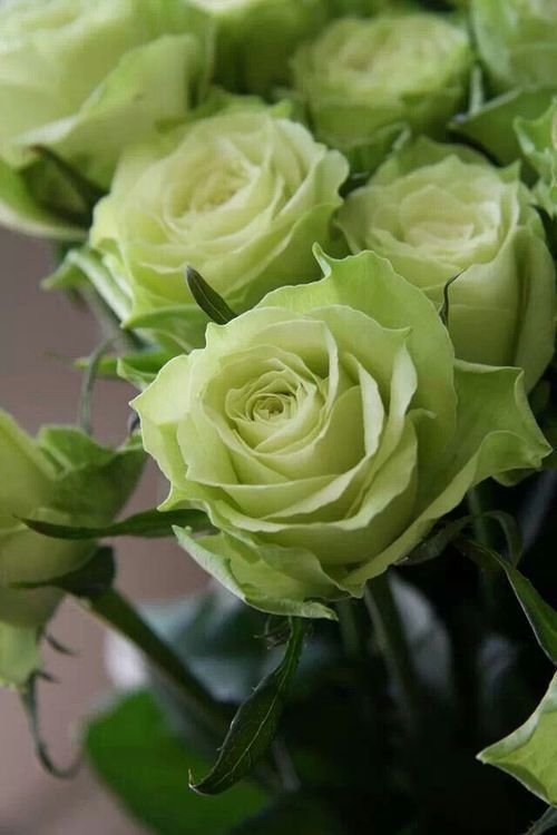 دکتر سکینه الوند