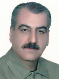 دکتر سیدطه حمیدی