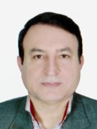دکتر محمدحسن ریحان پور