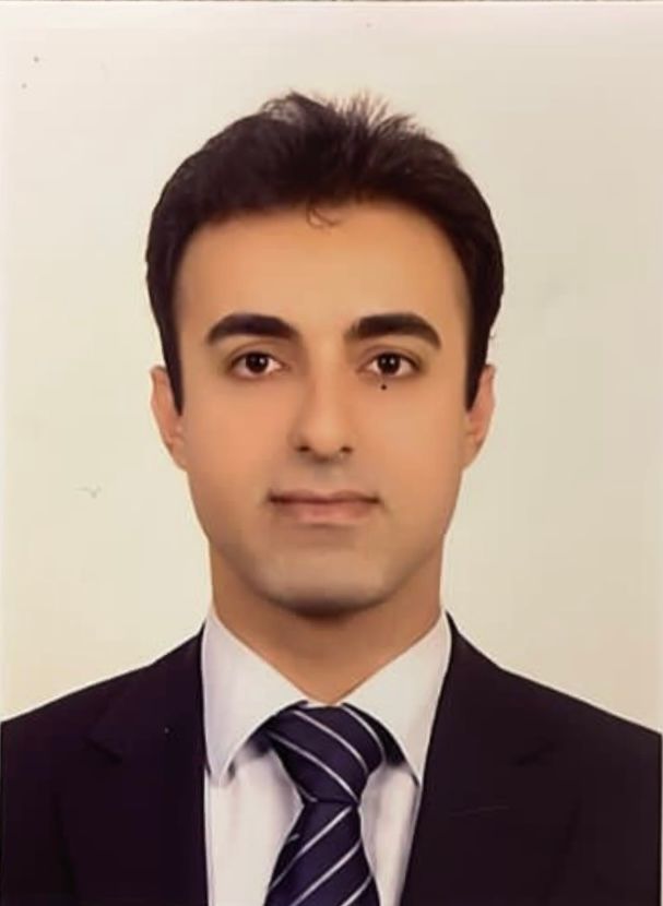 دکتر سیدحسین میرپور