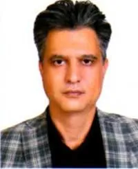 دکتر سعید ابوالحسنی ترقی پور دکترای دندانپزشکی