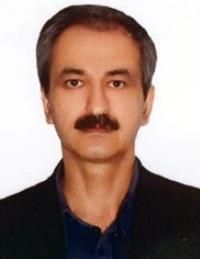 دکتر جلال الدین مولوی