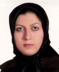 دکتر صادق زاده محمدی