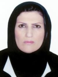 دکتر مولود سلمانی صادقی پزشک عمومی
