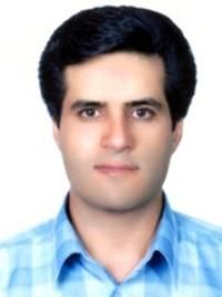 دکتر حسین زارعی امند متخصص بیماری‌های قلب و عروق, دکترای حرفه‌ای پزشکی
