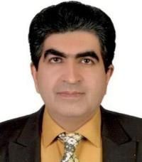 دکتر مجید مغزییان متخصص بیماری‌های کودکان, دکترای حرفه‌ای پزشکی