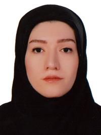 دکتر نور فتاح متخصص جراحی عمومی ,لاپاراسکوپی, دکترای حرفه‌ای پزشکی