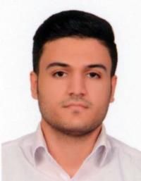 دکتر رامین حیدرزاده قره ورن
