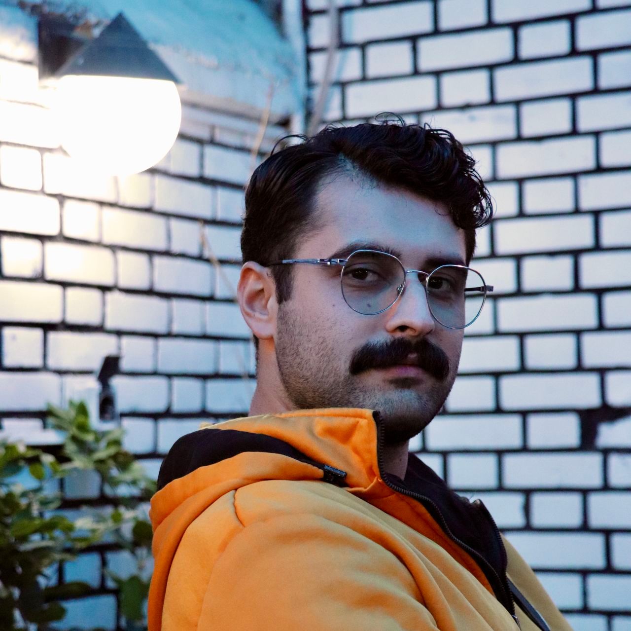 دکتر سیاوش علیجانی سماکوش