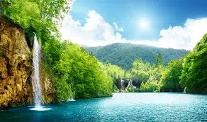 دکتر منصور زارعی