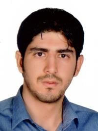 دکتر سیدمحمد بهاء الدینی