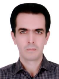 دکتر هادی جمی