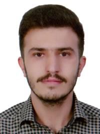 دکتر مصطفائی دولت آباد