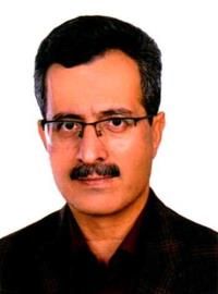 دکتر مرتضی امامی پارسا