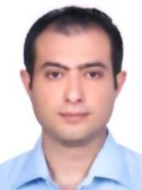دکتر حسام الدین امینی نژاد