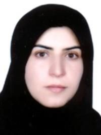 دکتر بهرامی کرکوندی