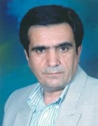 دکتر محمدحسین حسنی