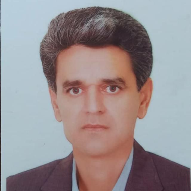 دکتر محمد برزگر
