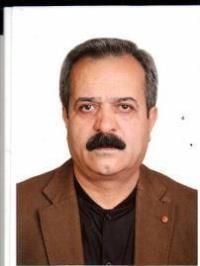 دکتر سیدنورالله طبائی زاده تفت
