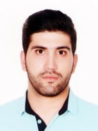 دکتر سید طه میرجانی