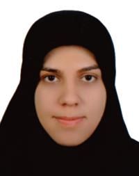 دکتر سیده الناز حسینی