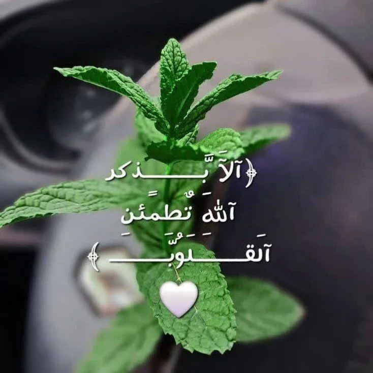 ملیحه یخکشی کارشناس ارشد روانشناسی عمومی