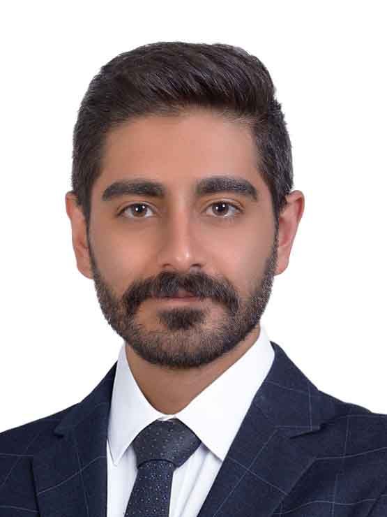 دکتر سیدحسینعلی محمدی