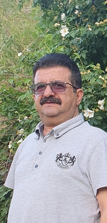 null لطفی متخصص بیماریهای داخلی, دکترای پزشکی