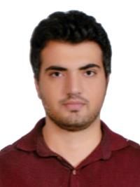 دکتر حامد مهدوی داربیدی متخصص گوش، گلو، بینی و جراحی سر و گردن, دکترای حرفه ای پزشکی