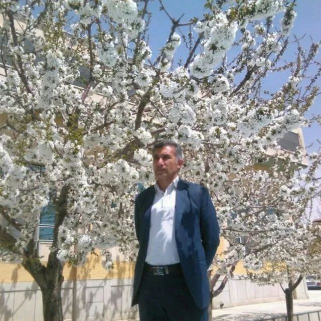 محمد آقایی نژاد دکترای تخصصی روانشناسی بالینی
