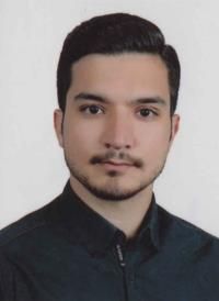 مهیار خوشی کارشناس کاردرمانی